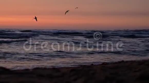 海面上红橙色的日落地平线上有一艘著名的帆船视频的预览图