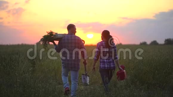 年轻快乐的农业夫妇在日落或日出时在他们的农场里提着装满有机蔬菜的盒子视频的预览图