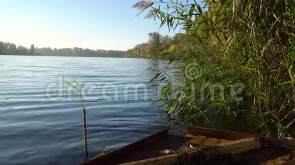 河岸上的日出河和木小桥上有芦苇的景观视频的预览图