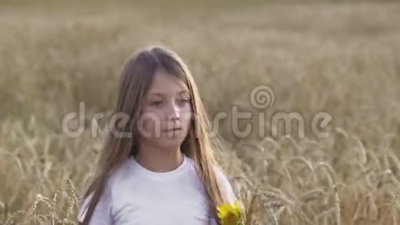 站在麦子里的漂亮姑娘的画像视频的预览图