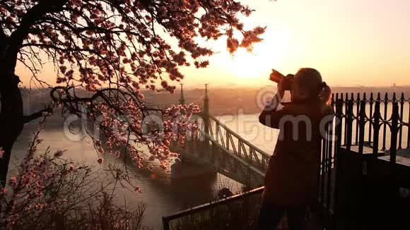 从布达佩斯Gellert山的露台上拍摄城市景观和多瑙河上的自由桥视频的预览图