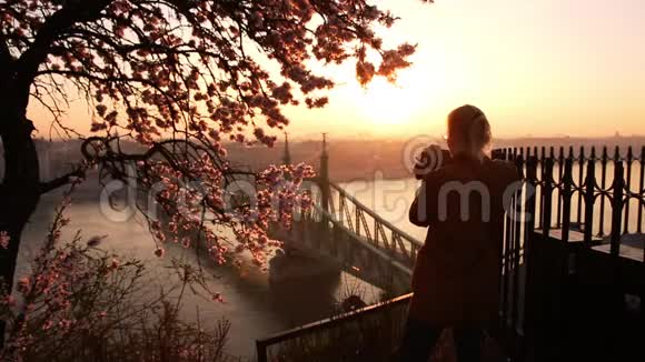 从布达佩斯Gellert山的露台上拍摄城市景观和多瑙河上的自由桥视频的预览图