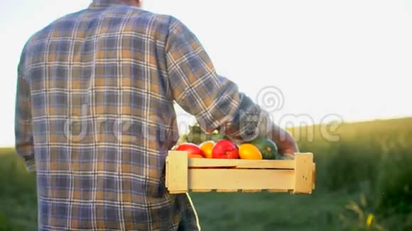男人在夕阳田里拿着一盒有机蔬菜胡萝卜土豆西葫芦西红柿农民市场视频的预览图