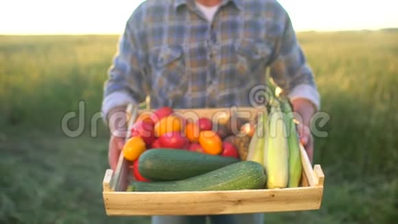 男子农民展示有机蔬菜盒子在日落田玉米土豆西葫芦西红柿农民市场视频的预览图