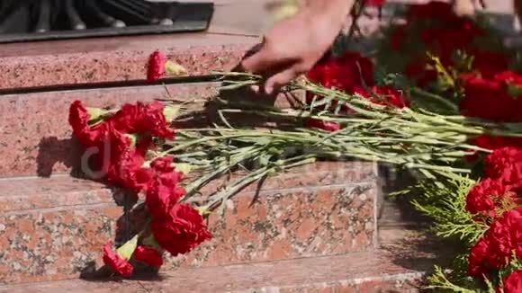 人们把康乃馨红花放在永恒的火焰纪念碑的花岗岩台阶上视频的预览图