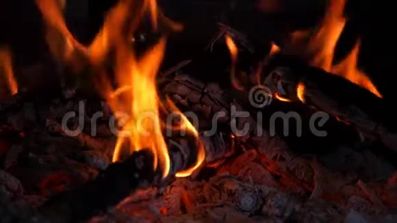 燃烧着火和灰烬的树林视频的预览图