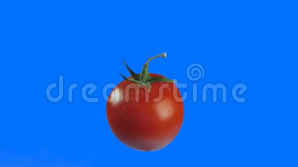 制作沙拉的樱桃番茄在一个孤立的背景4k上旋转一圈视频的预览图