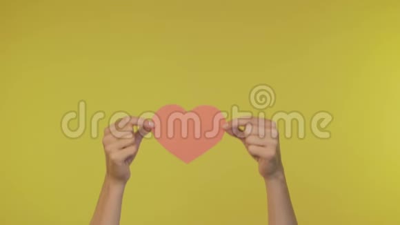女性的手在一个孤立的黄色背景上投下一张大大的心4K视频的预览图