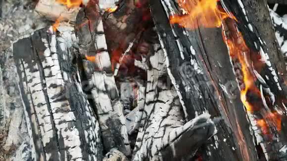在燃烧的柴火上进行特写在柴火上倒入燃烧的液体视频的预览图
