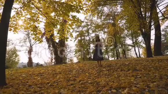 更远的距离日落时分女人在公园里散步穿着长裙的女孩在树上4K视频的预览图