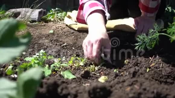 农民杂草丛生种植绿色蔬菜的农场季节视频的预览图