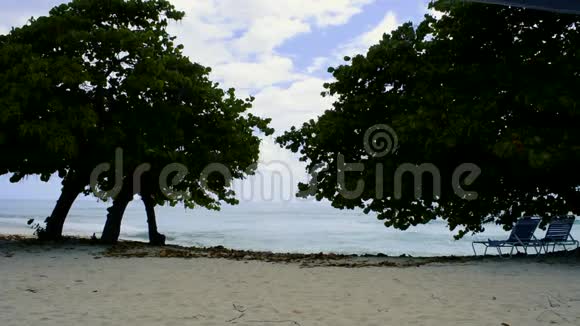 开曼群岛七英里海滩海浪拍打视频的预览图