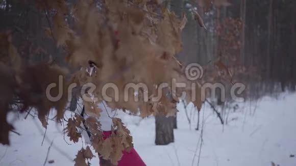 非裔美国女孩穿过冬季森林穿暖和夹克的漂亮女孩在镜头里看带黄色的树枝视频的预览图