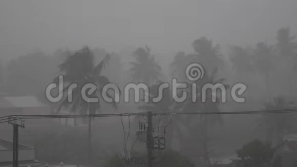 很强的夏季风暴接近飓风的风力热带大雨大风摇动树木录像视频的预览图