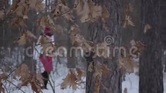 非裔美国女孩穿过冬季森林穿着温暖夹克的漂亮女孩四处张望带黄色的树枝视频的预览图