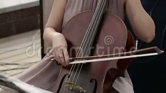 音乐四重奏在四重奏小提琴手中演奏大提琴的女孩快关门视频的预览图