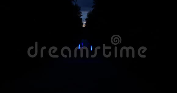 根特尔曼在森林里的夜晚旋转poin视频的预览图