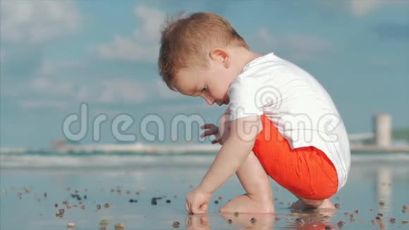 可爱的小儿童在海边玩耍儿童在热带海滩上捕捉体贴的活海贝壳螃蟹视频的预览图