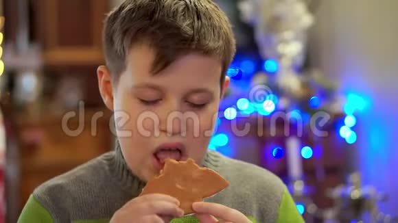 穿毛衣的少年吃姜饼很好吃在圣诞灯的背景下视频的预览图