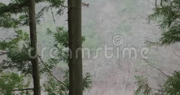 雪落在山谷里蓬松的大薄片限制了能见度视频的预览图