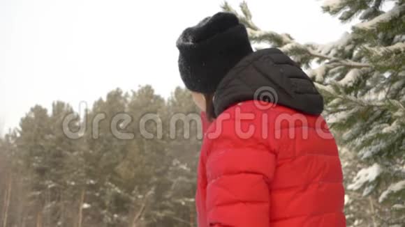 微笑的女人从帽子里摇雪冬天走在雪林里慢动作视频的预览图