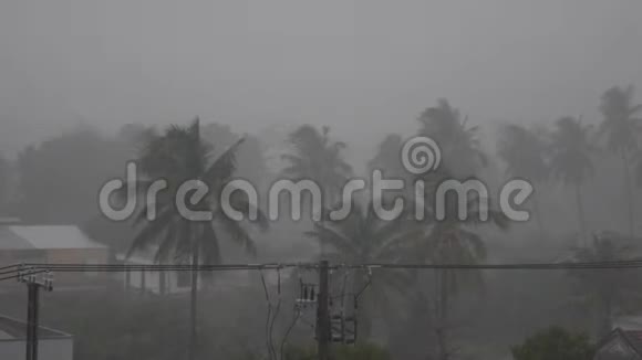 很强的夏季风暴接近飓风的风力热带大雨大风摇动树木雷霆视频的预览图