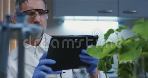 科学家为绿色植物拍照视频的预览图