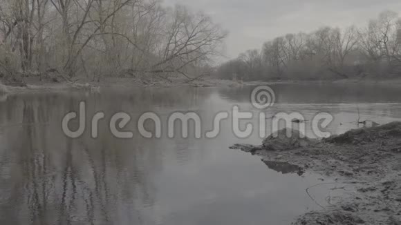 河中天空和树木的倒影平面图像剖面图视频的预览图
