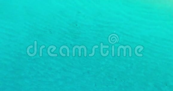 蓝海和金沙视频的预览图