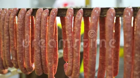 野猪小型狩猎香肠的制作工人们把小香肠串在架子上以便进一步烹饪视频的预览图