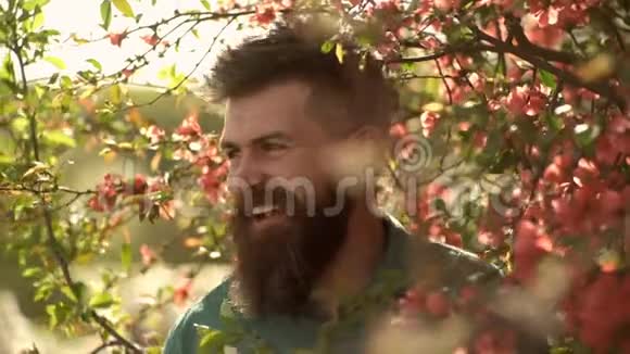 和谐理念胡子男发型时尚背景上有红花在树枝旁穿着绿色衬衫的嬉皮士视频的预览图