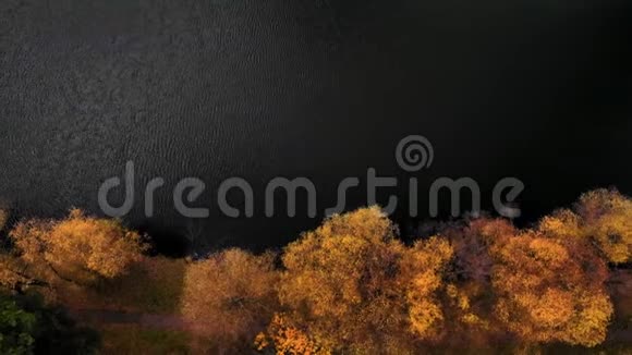 秋天的森林和黑暗的湖泊的奇妙景观视频的预览图