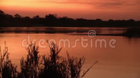 纳米比亚奥卡万戈河浪漫日落视频的预览图