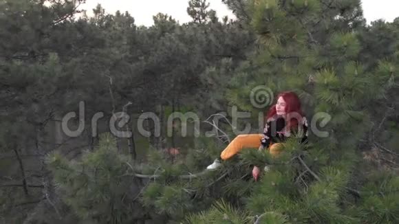 活泼活泼开朗的红发女青年爬上松树顶空投针叶林视频的预览图