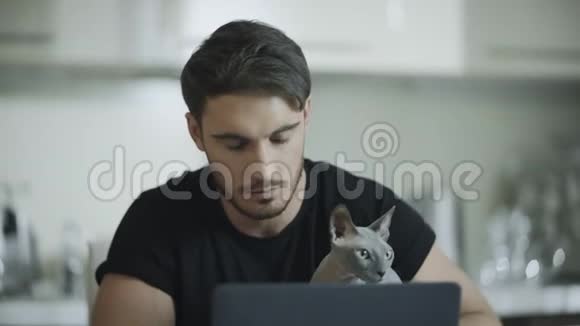 英俊的男人用sphynx猫在笔记本电脑上工作希普斯特的电脑工作视频的预览图