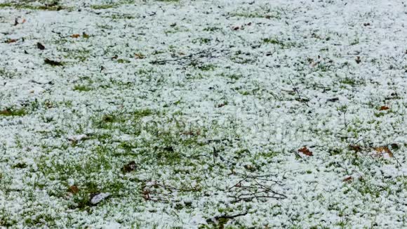 动态时间推移视频雪慢慢融化在小雨在草坪上的花园4k25fps4096视频的预览图