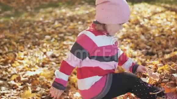 一个三岁的女孩在一个阳光明媚的秋天玩着一堆落叶视频的预览图