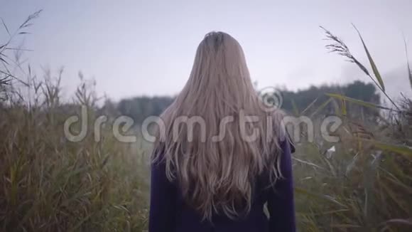 年轻女子走在高高的草地上视频的预览图