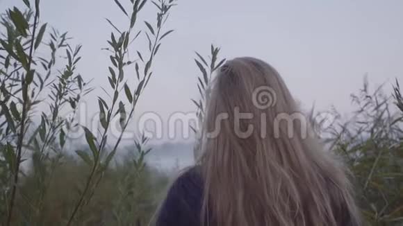 一个年轻的女人走在湖的背景下在高高的绿草中视频的预览图