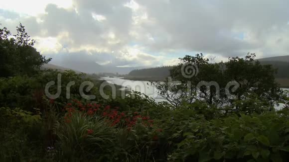 河岸上的花山峦上的云视频的预览图