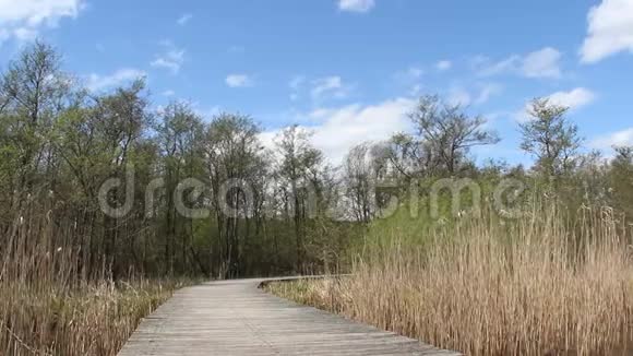长木桥横跨湿地和多风视频的预览图