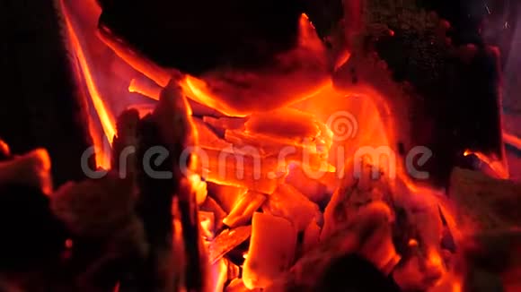 闪耀着鲜红的火煤燃烧着明亮的光芒篝火热柴烧红蓝火特写视频的预览图