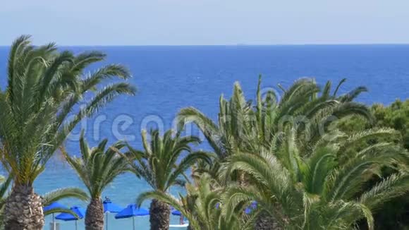 美丽的热带地中海清澈的蓝水掌慢运动风视频的预览图