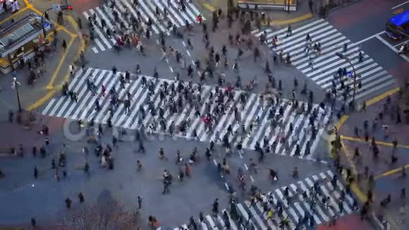 城市行人交通Shibuya东京视频的预览图