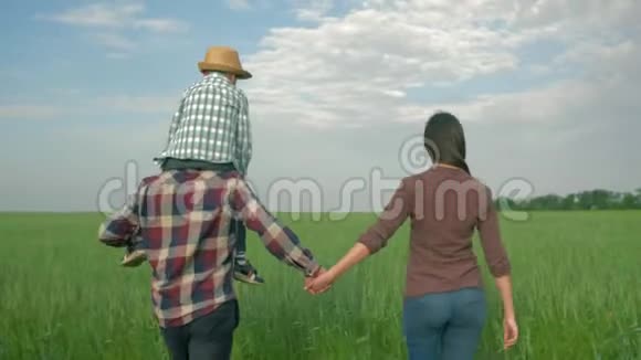 田野里的幸福家庭年轻的爸爸和小男孩肩上妈妈走在绿谷地里视频的预览图