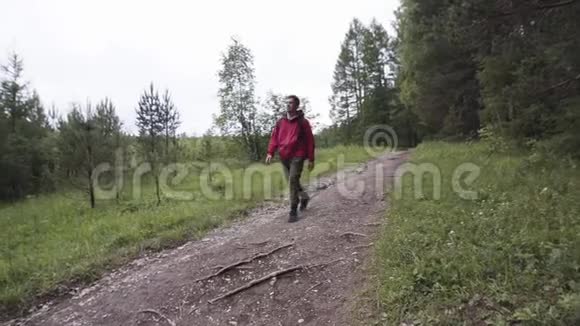 徒步旅行者穿着徒步旅行背包和红色夹克在夏天的森林里散步库存录像年轻人跟着视频的预览图