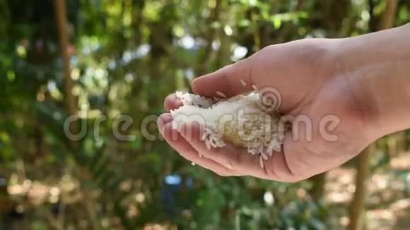 从花园里手里掉下来的水稻视频的预览图