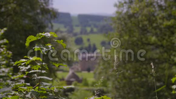 郁郁葱葱的青山和建筑物的景色视频的预览图