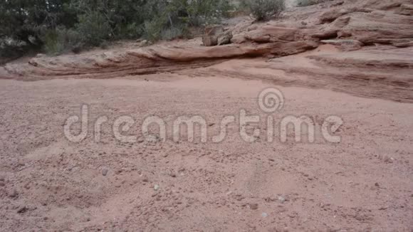 沙漠沙伴女徒步穿越视频的预览图