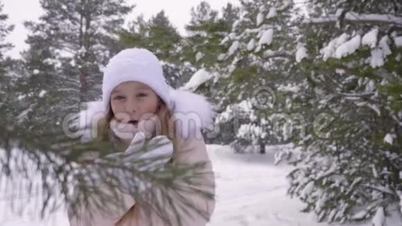 小女孩冻在冰冷的树林里视频的预览图